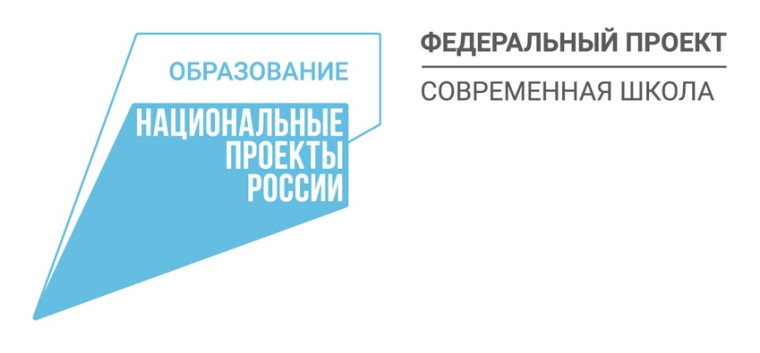 ЗЕМСКИЙ УЧИТЕЛЬ.