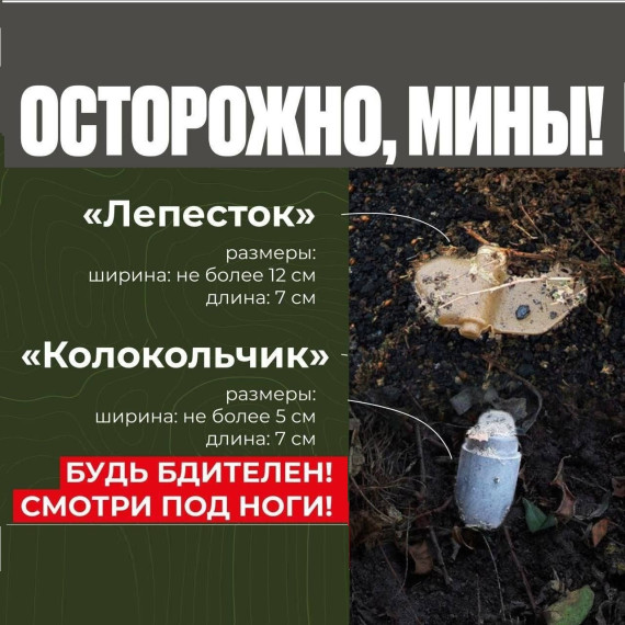 Осторожно, мины!.